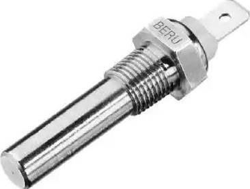 BorgWarner (BERU) ST098 - Senzor,temperatura lichid de racire aaoparts.ro