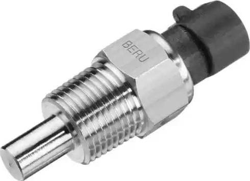 BorgWarner (BERU) ST069 - Senzor,temperatura lichid de racire aaoparts.ro