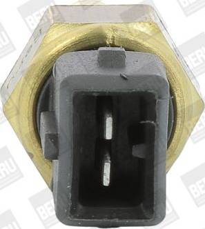 BorgWarner (BERU) ST256 - Senzor,temperatura lichid de racire aaoparts.ro