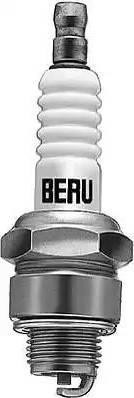 BorgWarner (BERU) Z40 - Bujii aaoparts.ro