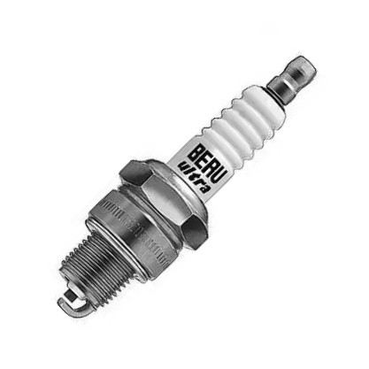 BorgWarner (BERU) Z19 - Bujii aaoparts.ro