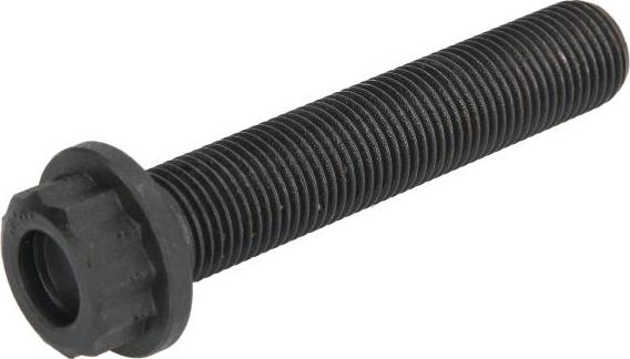 BF 20060347009 - Surub biela aaoparts.ro