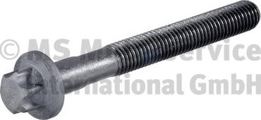 BF 20080361109 - Surub chiulasa aaoparts.ro