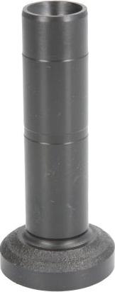 BF 20100390660 - Culbutor supapa aaoparts.ro