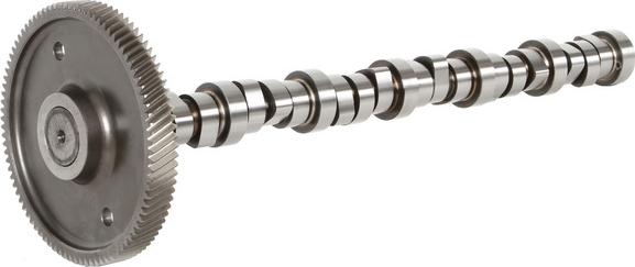 BF 20100390601 - Ax cu came aaoparts.ro