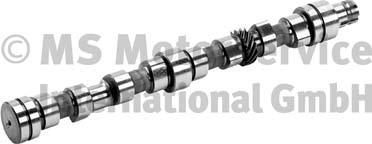 BF 20100336401 - Ax cu came aaoparts.ro