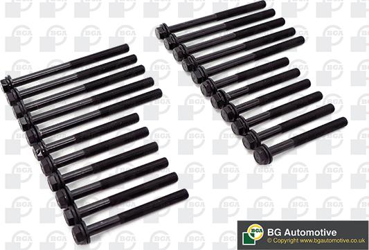 BGA BK6379 - Set surub, chiulasa aaoparts.ro