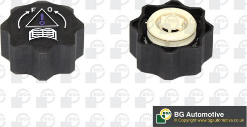 BGA CC3029 - Buson,vas expansiune aaoparts.ro
