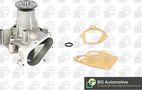 BGA CP6110 - Pompa apa aaoparts.ro