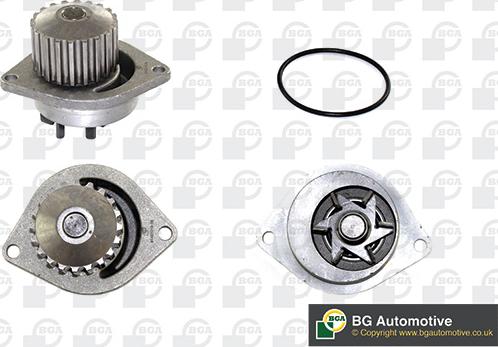 BGA CP2838 - Pompa apa aaoparts.ro