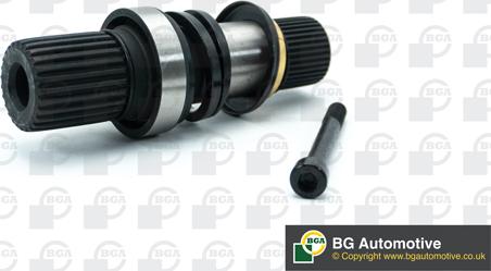 BGA DS9644SS - Arbore, diferential aaoparts.ro