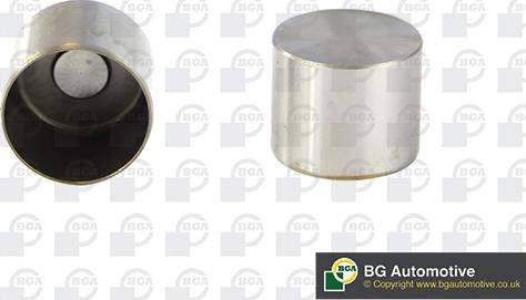BGA HL2313 - Culbutor supapa aaoparts.ro