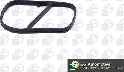BGA MG3737 - Garnitura, galerie admisie aaoparts.ro