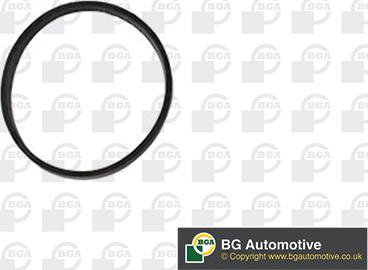 BGA RW3399 - Garnitura, galerie admisie aaoparts.ro