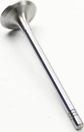 BGA V998739 - Supapa admisie aaoparts.ro