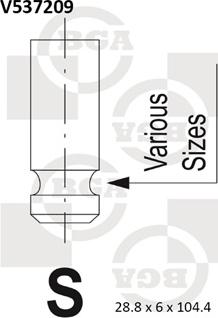 BGA V537209 - Supapa admisie aaoparts.ro