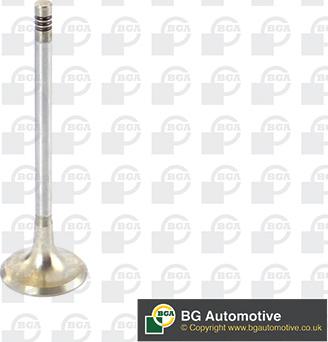 BGA V090100 - Supapa evacuare aaoparts.ro