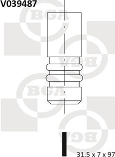 BGA V039487 - Supapa evacuare aaoparts.ro