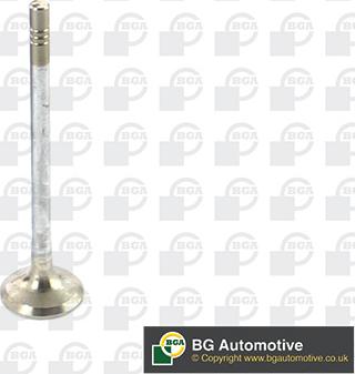 BGA V149482 - Supapa evacuare aaoparts.ro