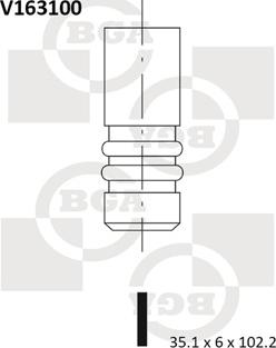 BGA V163100 - Supapa admisie aaoparts.ro