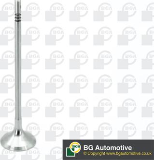 BGA V200610 - Supapa admisie aaoparts.ro