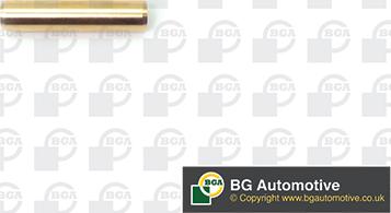BGA VG001047 - Ghid supapa aaoparts.ro