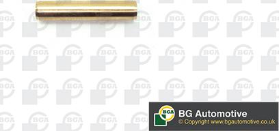 BGA VG001074 - Ghid supapa aaoparts.ro