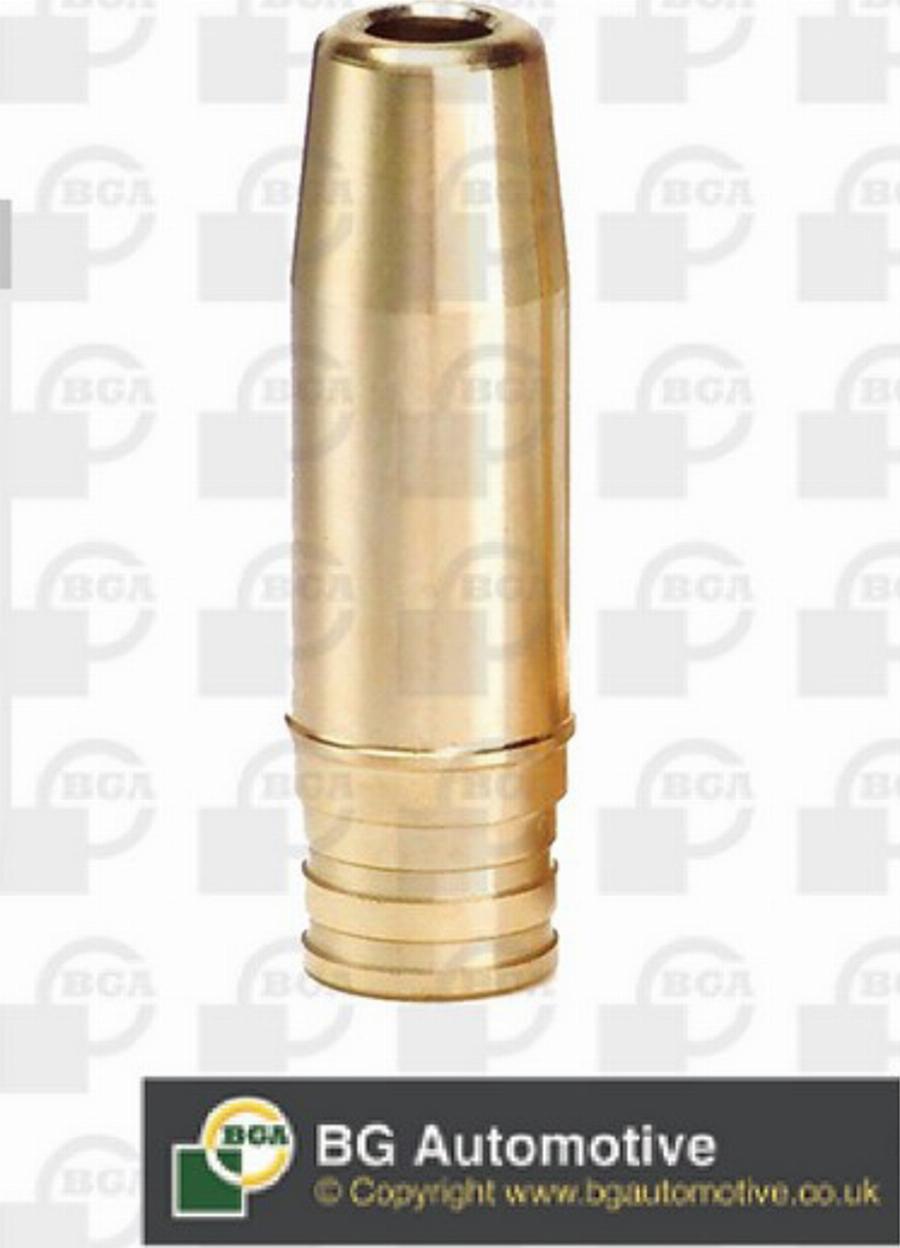 BGA VG11000 - Ghid supapa aaoparts.ro