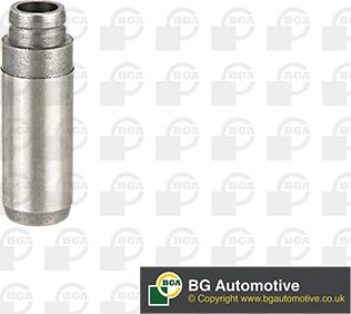 BGA VG11039 - Ghid supapa aaoparts.ro