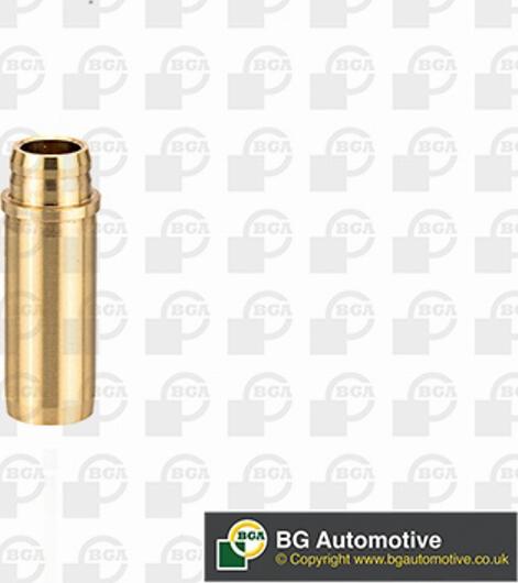 BGA VG11181 - Ghid supapa aaoparts.ro