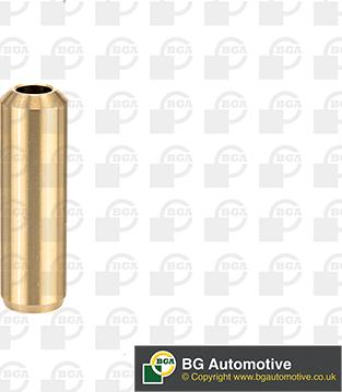 BGA VG11314 - Ghid supapa aaoparts.ro