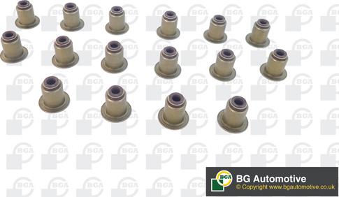 BGA VK1372 - Set garnituri, ax supape aaoparts.ro
