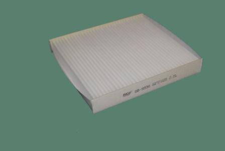 BIG Filter GB-9930 - Filtru, aer habitaclu aaoparts.ro