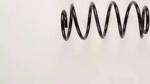 BILSTEIN 36-197941 - Arc spiral aaoparts.ro