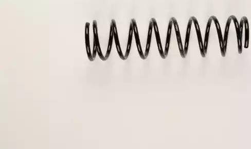 Bilstein 36-200542 - Arc spiral aaoparts.ro