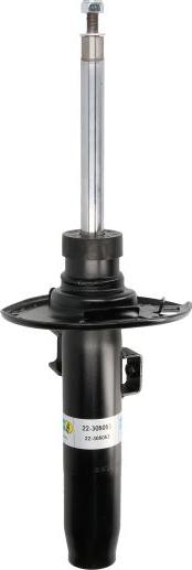 BILSTEIN 22-305053 - Amortizor aaoparts.ro