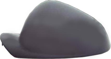 BINDER 4693,720,1 - Acoperire oglinda exterioara aaoparts.ro