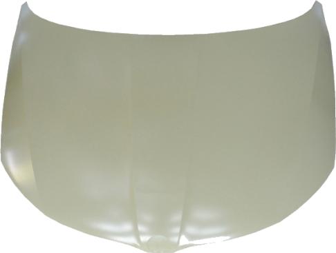 BINDER 5850,130,1 - Capota motor aaoparts.ro