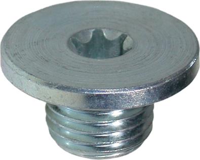 Birth 4576 - Surub de golire,baia de ulei aaoparts.ro