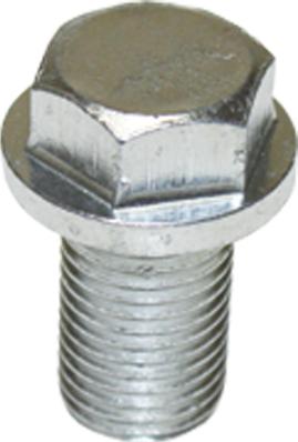 Birth 40047 - Surub de golire,baia de ulei aaoparts.ro