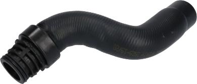 Birth 54938 - Furtun radiator aaoparts.ro