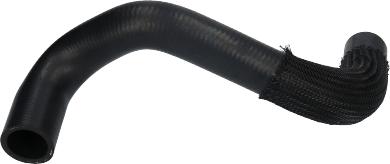 Birth 54894 - Furtun radiator aaoparts.ro