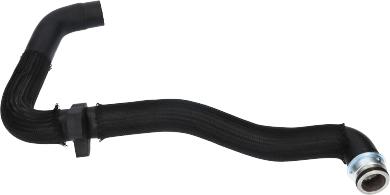 Birth 54755 - Furtun radiator aaoparts.ro