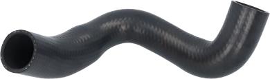 Birth 55455 - Furtun radiator aaoparts.ro