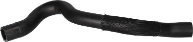 Birth 56260 - Furtun radiator aaoparts.ro