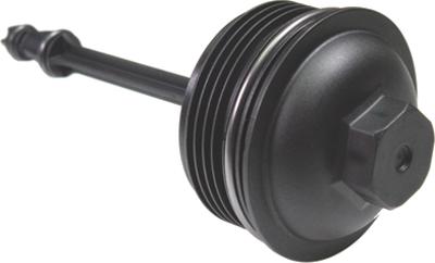 Birth 81132 - Capac, carcasa filtru ulei aaoparts.ro