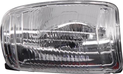 BLIC 5403-03-05210P - Semnalizator aaoparts.ro