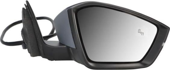 BLIC 5402-43-1319319P - Oglinda exterioara aaoparts.ro