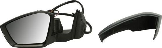 BLIC 5402-43-1319314P - Oglinda exterioara aaoparts.ro