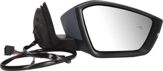 BLIC 5402-43-1319315P - Oglinda exterioara aaoparts.ro